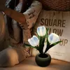 Night Lights Lamp 2024 Table Desk Led Simulation Light With Vase Ornaments For Home Projector