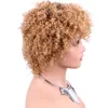 Human wigs short kinky curly wigs with bangs for black women100% human hair wigs machine made glueless jerry curl wigs pixie cut afro curly brazilian virgin hair brown