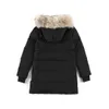 Goose Down Pat Women Wind Winter Jacket Real Wolf Fur воротнич