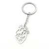 Keychains Fashion en acier inoxydable Keychain Body Organs Charms Heart Course pour femmes Gift Chain