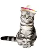 Abbigliamento per cani per animali domestici cappello di paglia Sombrero Cat Sun Beach Party Hats Style per accessori divertenti
