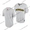 NCAA S-6XL Custom Stitched Michigan Wolverines College Baseball Jersey 16 Barry Larkin Alec Rennard Jim Abbott Don Lund Bill Erik Bakich Miles Lewis Brewer