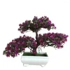 Fiori decorativi ganoderma albero pino simulazione fiore pianta artificiale bonsai falsa pista verde piante ornamenti tavolo decorazione top decorazione