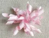 Dog Apparel 100PC Pink Valentine039s Day Letter Volumes Pet Bows Handmade Ribbon For Party Grooming Hair Accessories8082526