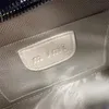 Designer Bag Miui Snapshot Camera Bags Pleated leather Men Women bag Handbag Luxury Crossbody purse strap adjustable and removable Messenger Shoulder Bags