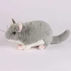 Animaux en peluche en peluche 30 cm / 11,8 pouces de souris chinchilla réaliste en peluche de peluche de peluche pour enfants