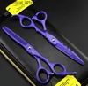 Ciseaux de cheveux Livraison gratuite Jason HD-24 Laquer violette 5,5 pouces / 6,0 pouces Coupes / éclaircissements Ciseaux6cr 62HRC Ciseaux de cheveux Q240425