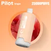 Pilot Vapers Puff 20000 25000 Puffs 28 ml de jus de vape jetable Chariots préremplis Sigarette Elettroniche batterie 650mAh Mesh Coil 2% 3% 5% Razz Bar Saveurs de fruits raisin