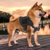 Hundkläder Taktiskt västar koppel set pålitlig material stora hundar som går och bröstrep med handtag