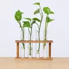 Vases Fases Frame en bois Vase Hydroponic Vase en verre de propagation de propagation Station de plante Solder Rooms Office Decor