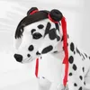 Hondenkledingpruik niet gemakkelijk af te vallen van huisdier kostuumaccessoires voor honden hoofdband stijl bloemendecoratie set Halloween klein