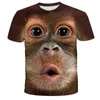 Erkek Tişörtleri Yaz Yeni Erkek Kişiselleştirilmiş T-Shirt 3D Dijital Baskı Yuvarlak Boyun Sıradan Sporlar Kısa Kollu Topl2425