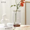 Vasi di vetro trasparente in stile Nordico Vaso multifunzionale fiore decorazione per casa Ornamenti di piante idroponiche