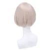 Wigs Lemail wig Synthetic Hair Re: Life in a Different World from Zero Felix Argyle Cosplay Wig Short Hair with Ears Heat Resistant