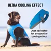 Benepaw langlebige Hundekühlung Weste Sommer Verstellbares atmungsaktives Netzverdampfung coole Haustierkleidung Reflexionsstreifen Welpenjacke 240423