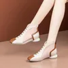 Dress Shoes 2024 Summer Women Hollow Mesh Rhinestone Ankel Boots Fashon Rome Chunky Med Heels Pointed Toe Short Sexy Woman