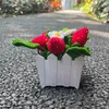 Dekorativa blommor virkade vävda jordgubbar krukväxter konstgjorda växter bonsai hand stickad rolig gåva för rum hem bord idéer födelsedag dekor