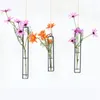 Vaser transparent hängande glas plantervatten järnkonst hydroponisk vas teströr kreativ blomma flaska hem dekorativ