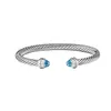 DYS925 Silver Bracelet: een verbluffende toevoeging aan uw collectie