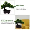 Decorative Flowers Artificial Pine Potted Green Plant Flower Tabletop Decorations Japanese Cedar Bonsai Tree