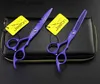 Ciseaux de cheveux Livraison gratuite Jason HD-24 Laquer violette 5,5 pouces / 6,0 pouces Coupes / éclaircissements Ciseaux6cr 62HRC Ciseaux de cheveux Q240425