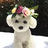 Hundekleidung Haustier Kopfbedeckung Blumenblätter frischer natürlicher Kranzkatzen Kopfband Hochzeitskragen für Welpen (Muster a)