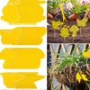 Gardendecoraties 10 stcs ongediertebestrijding Vliegende Bugs Sticky Board Houseplant Bug Catcher Flie Traps Plant Insect