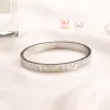 Goldarmbänder mit Armreifen Designer Schmuck Schloss mit Diamant 18K Gold Edelstahl Brief Brautliebhaber Geschenkbänke Frauen Männer Bangle Paar Geschenk