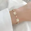 Bracelets de charme Fleur de cristal de mode classique pour les femmes Gold Couleur en acier inoxydable Chaînes Bangles Kpop Jewelry Accessoires Cadeau