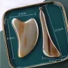 Массагер 2pcs Natural Ox Horn Gua Sha Массаж инструмент для лица скрежетка для скребки для скребки для скребки ноги Spa Physiotherapy