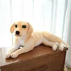Plush muñecas nuevos perros perros perros peluche animales de peluche realista peluche doradas de golden retriever regalos de juguete para niños kawaii muñeca para niños regalos2404