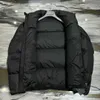 2023 Seasonal New Stand Collar Triangle Tricolor Solid Color Down Jacket European Size
