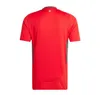 2024 Maglie da calcio del Galles James Bale 24 25 Welsh Football Shirts Johnson N.Williams Rodon T.Roberts Cabango Levitt Moore Thomas Men Kit Kit Jersey