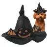 Appareil de chien Chat Hat Wizard Halloween Not Said Hair Spooky Pumpkin For Friends Pet Lovers