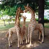 Plush Dolls Huge Real Life Giraffe Plush Toys Cute Stuffed Simulation Soft Animal Doll High Quality Kids Baby Birthday Gift Bedroom DecorL2404