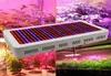 Factory DHL High Quality 600W Full Spectrum LED Grow Light RedBlueWhiteuvir AC85265V SMD5730 LED -växtlampor9694513