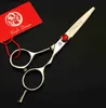 Hair Scissors 528# 5 Brand Purple Dragon Professional Hairdressing Scissors With Bag 440C Home Salon Barbers Cutting Scissors Hair Shears Q240425