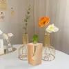 Vaser Hydroponic för växter Levande Plant Planter Glass Rör med trästativ Terrarium Air Holder Flower Home