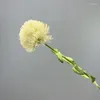 زهور الزخرفة الحديثة ديكور ديكور محاكاة النباتات لينة الغراء caryophyllum الشعر الشعر الاصطناعية زخرفة غرفة نوم النبات