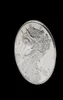 10 pcs non magneitc 2022 American Eagle Metal Craft Dom Silver plaqué 1 oz Décoration de maison de collection Art Commoratif Coin8917032