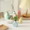 Vasi Mini decorativo Vase Ceramics Bottiglia per pianta idroponica floreale fiori creativi decorazioni per vaso per vaso ornamento desktop ornamenta