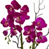 Fleurs décoratives 21 "Orchidée succulente arrangement de floraux artificiels rose foncé