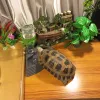 Lieferungen Haustier Tortoise Reptiles Turtles Feeder Wasserspender Trinkbrunnen Schüssel Schüssel