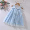 Girl's Dresses Hot New Baby Girl clothes High Quality Flower Embroidery Halter Mesh Little Girls Dress Cute Baby Dress Sweet Princess Frock d240425