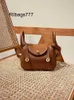 Luxury Bag L Linndies New High-end Mini Bag Genuine Leather Bag Womens Bag Portable Pillow Doctors Bag One Shoulder Crossbody Bag