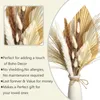 Dekorativa blommor Pampas Palm Leaf Wedding Bouquet Natural Dried Flower Home vardagsrum Dekoration Tillbehör