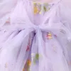Одноказурвы Prowow Mabn Girls Одежда на день рождения весна лето Торт Торт Smash Bodysuit Платье для младенцев вышивать маленькие девочки Румпер
