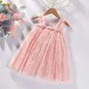 Girl's Dresses Hot New Baby Girl clothes High Quality Flower Embroidery Halter Mesh Little Girls Dress Cute Baby Dress Sweet Princess Frock d240425