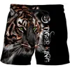 Herren -Shorts Board Schwimmsommer Strandtasche Draw String Elastic Taille Tiger Brief Schnelle trockene hawaiianische Stämme