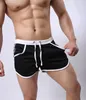 Vêtements de gymnase Pantalon de sport décontracté pour hommes plage de fitness quatre coins aro tendance